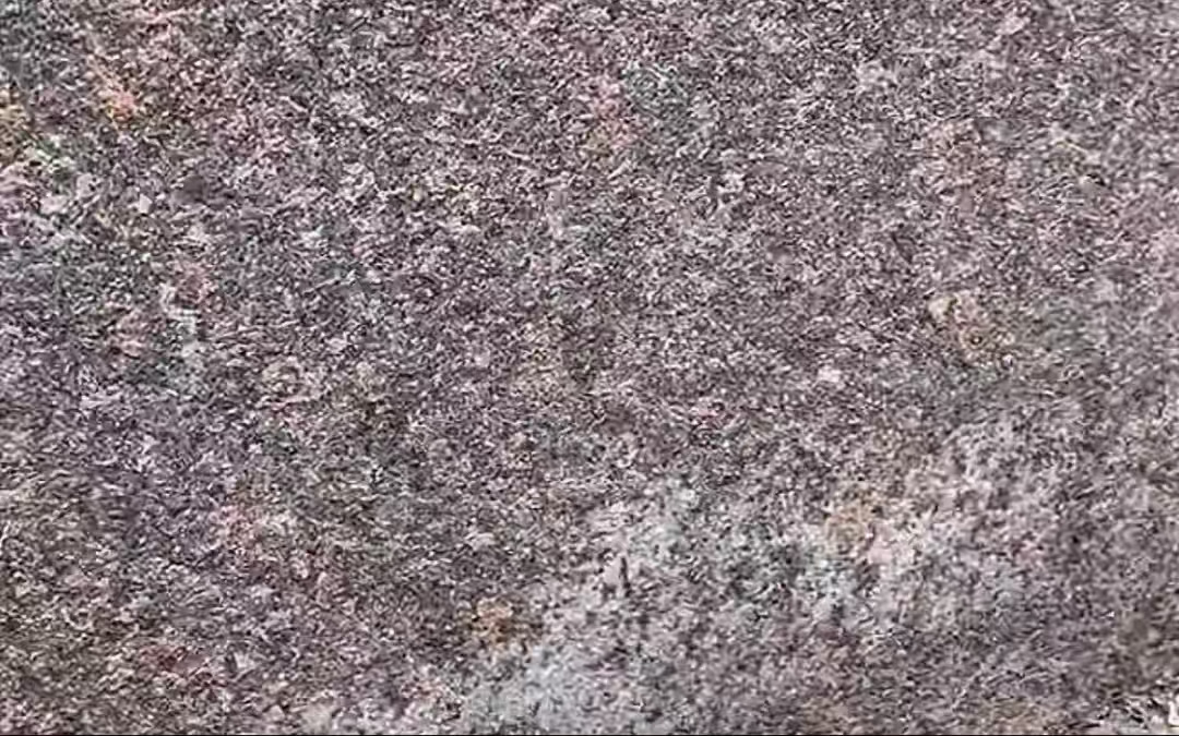 1756949208766961.jpg 微信圖片_202509040919551.jpg